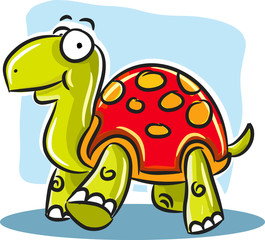 Turtle with Red Shell