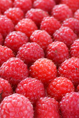 raspberries