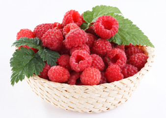 raspberries in the basket