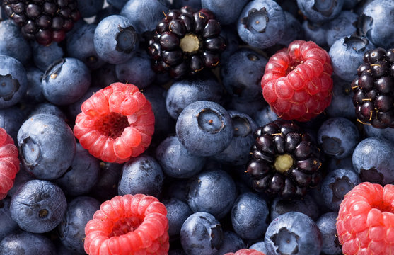 Verschiedene Beeren (bildf&uuml;llend)