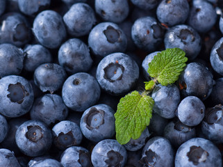 Heidelbeeren und Minze (bildfüllend)