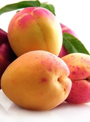 abricots