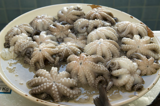 piatto di polpi