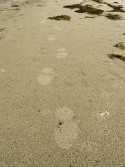 marcher sur la plage