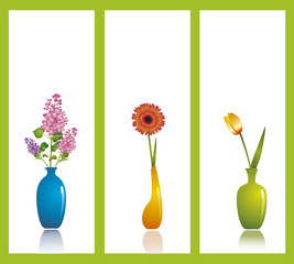 Lilac, gerbera and tulip in vases against white background