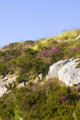 view of a landscape in brittany