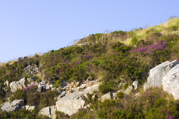 Fototapeta na wymiar view of a landscape in brittany