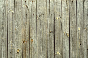 Naklejka premium Wood texture