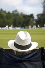 Cricket fan in sun hat