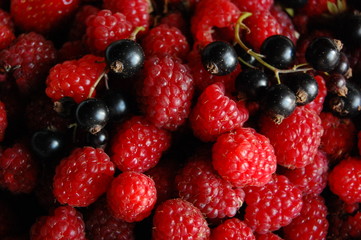Berry
