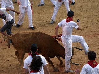 VAQUILLAS