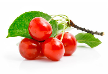 fresh red cherries with green leaves