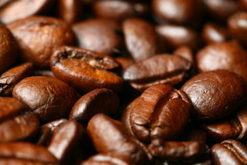 coffee beans