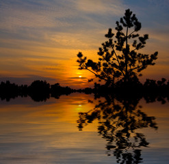 Fototapeta na wymiar Nice sunset on lake