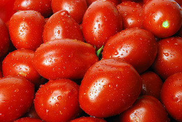 Pomodori rossi
