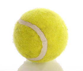 yellow tennis ball with reflection on white background