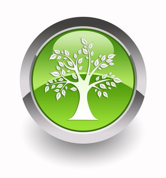 Eco tree glossy icon