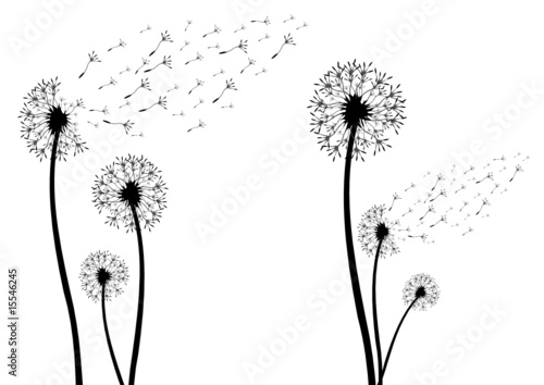 &quot;Pusteblume als Silhouette&quot; Stockfotos und lizenzfreie