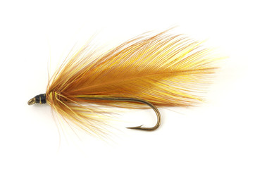 Brown fly fishing fly