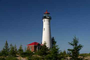 Lighthouse and Pine Trees