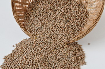 lentille blonde