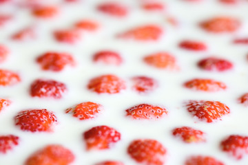 strawberry in milk, close up