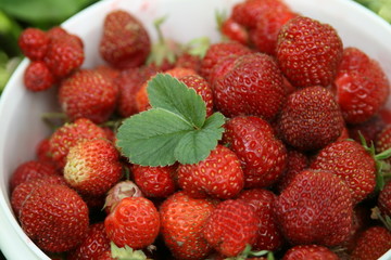 strawberry