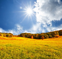 Autumn field