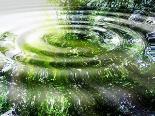 Fototapete Zen Reflexion von Wald und Sonne im Wasser