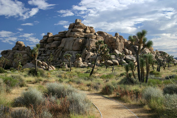 Hidden Valley 2