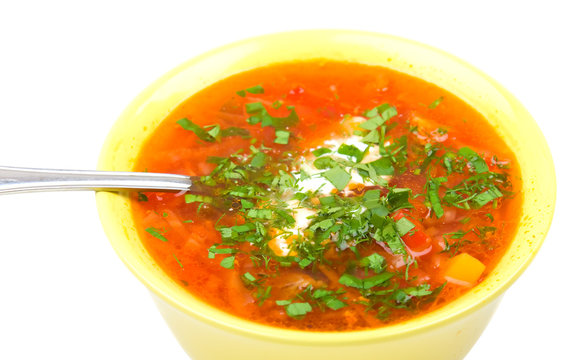 Ukrainian and russian national red soup - borscht