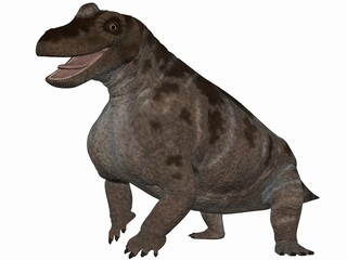 Keratocephalus - 3D Dinosaurier