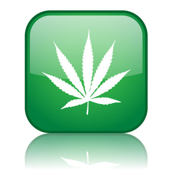 Square button with Cannabis Leaf symbol (green)