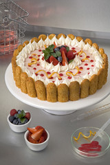 Strawberry Cake - Food Chemistry Series