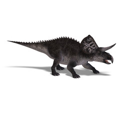 Dinosaur Zuniceratops