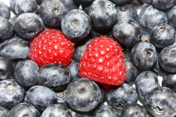 Fresh whortleberries and raspberries