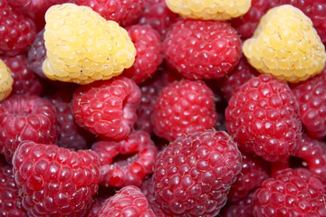 Fresh raspberries, background