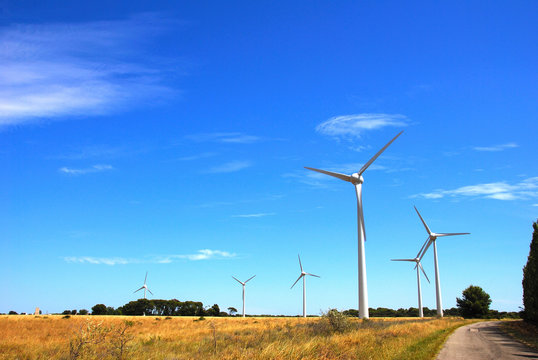 Eoliennes dans un parc &eacute;olien