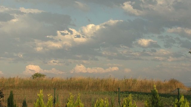 atardecer en el jardin