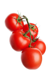 Tomatoes on the Vine