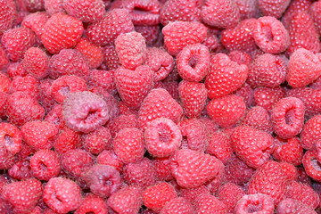 Raspberries