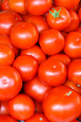 Tomatoes