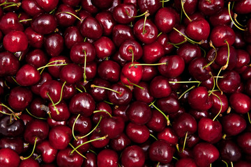 cherry crop