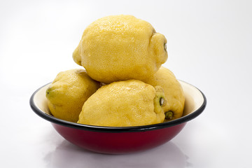 Lemons in a Bowl