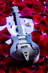 Fototapeta na wymiar Musical instrumen - guitar and roses