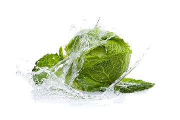 fresh cabbage with splashing water