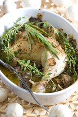 chicken with champignons and herbs