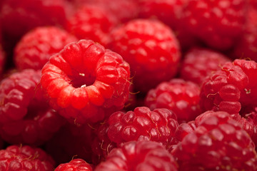 delicious raspberries close