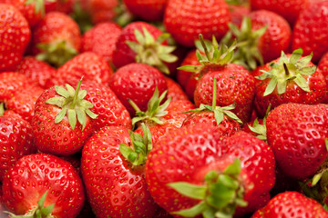 plenty of strawberries