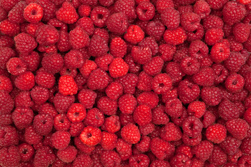 plenty of fresh raspberries